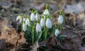 Cer senin și maxime de 11 grade în capitală. Ce temperaturi se vor înregistra în toată țara. Prognoza meteo
