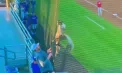 Un meci de baseball din Statele Unite a fost întrerupt neașteptat după ce un pelican curios s-a încurcat în plasa stadionului, necesitând intervenția rapidă pentru a fi salvat - VIDEO