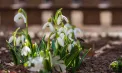 Cer variabil și temperaturi maxime de până la 11 grade. Ce temperaturi se vor înregistra astăzi și în zilele următoare. Prognoza meteo
