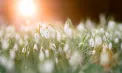 Cer senin și maxime de până la 18 grade. Ce temperaturi se vor înregistra astăzi și în zilele următoare. Prognoza meteo