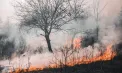 Vegetația uscată se aprinde ușor, iar riscul de incendii crește în această perioadă. IGSU avertizează cetățenii să nu aprindă gunoiul și deșeurile 