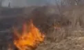Incendiu de vegetație în satul Iabloana, raionul Glodeni: flăcările au afectat circa un hectar și jumătate, iar pompierii și localnicii au intervenit pentru a salva locuințele - VIDEO