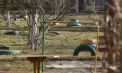 Anvelopele din curțile grădinițelor din Bălți, scoase din motive de siguranță: „Când se încălzesc, devin toxice”, spun părinții, iar autoritățile promit spații moderne de joacă – VIDEO