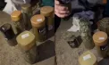 Droguri de peste 400 mii de lei găsite la Anenii Noi: aproape 1,5 kg de masă vegetală, ascunsă la o fermă de animale - VIDEO