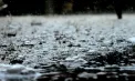 Ploi slabe în nordul și centrul țării. Cum va fi vremea în celelalte regiuni ale Republicii Moldova. Prognoza meteo

