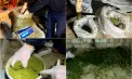 Captură de proporții la Orhei: droguri de aproximativ 5 milioane de lei, descoperite în locuința unui bărbat de 63 de ani. Ce pedeapsă ar putea primi - VIDEO