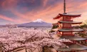 Sakura în plină splendoare: Mii de oameni ies în parcurile din Japonia pentru a admira priveliștea spectaculoasă - VIDEO