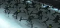 Prima întreprindere comună germano-ucraineană a început producția de drone. Fabrica se află în Bavaria - VIDEO