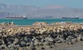 OPEC+ crește producția de petrol din mai, dar livrările către Europa și restul lumii depind de redeschiderea Strâmtorii Ormuz