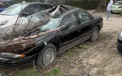 Vijelia a făcut ravagii în Moldova: copaci doborâți, acoperișuri smulse și zeci de intervenții ale salvatorilor - VIDEO