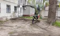 Rafale puternice de vânt în Moldova: IGSU a intervenit după prăbușirea copacilor și obiectelor periculoase - FOTO