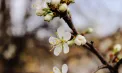 Temperaturi de până la 18 grade la Chișinău și 20 grade în sudul Republicii Moldova. Cum va fi vremea în celelalte regiuni ale țării. Prognoza meteo