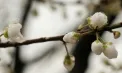 Ploi slabe în nordul țării cu maxime de 18 grade. Ce temperaturi se vor înregistra astăzi și în zilele următoare în Republica Moldova. Prognoza meteo