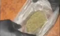 Percheziții la Drochia: trei bărbați, prinși cu marijuana. Ce spune poliția - VIDEO