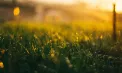 Ploi slabe în centrul și nordul țării cu maxime de 19 grade. Ce temperaturi se vor înregistra astăzi și în zilele următoare în Republica Moldova. Prognoza meteo