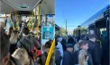 Aglomerație la stațiile de autobuz de Paștele Blajinilor: locuitorii din Chișinău s-au grăbit de dimineață spre Cimitirul Sfântul Lazăr pentru a-și pomeni rudele - VIDEO