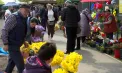De la narcise la lalele: florile vii, tot mai căutate la cimitire: „Am ales ghiveci, ca să se păstreze mai mult timp”, spun oamenii - VIDEO