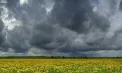 Cod GALBEN de ploi cu descărcări electrice emis de meteorologi în centrul și sudul Moldovei. Până când este valabil - FOTO
