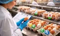 Reguli noi pentru comercializarea ouălor: clasificare pe mărimi, depozitare sub 5 grade și etichetare clară privind creșterea găinilor - VIDEO