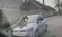 Incident șocant în Ucraina: Un șofer lovește un polițist, îl ia pe capotă și gonește mai departe - VIDEO