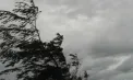 Cod GALBEN de vânt puternic pe întreg teritoriul Republicii Moldova. Când intră în vigoare avertizarea - VIDEO
