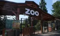 Legea grădinilor zoologice stârnește controverse: activiștii cer amânarea votului și avertizează asupra riscurilor pentru animale
