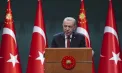 Turcia vrea să îi aducă la masa discuțiilor pe Zelenski și Putin. Detalii din discuția lui Erdogan cu șeful NATO