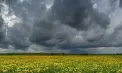 Cer noros și maxime de 15 grade în Chișinău. Cum va fi vremea în celelalte regiuni ale Republicii Moldova. Prognoza meteo