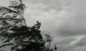 Cod PORTOCALIU de vânt puternic în toată Republica Moldova. Când intră în vigoare avertizarea - FOTO