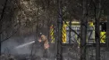 Statul american Georgia se confruntă cu unele dintre cele mai grave incendii de vegetație din ultimele decenii: Flăcările au făcut scrum 120 de locuințe și amenință alte o mie - VIDEO