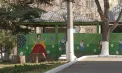 Camere de supraveghere ar putea apărea în grădinițe, după mai multe cazuri de violență care au stârnit îngrijorare în rândul părinților. Declarațiile ministrului Educației - VIDEO