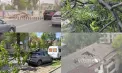 Și la Chișinău vântul puternic a provocat o adevărată apocalipsă: Cinci persoane au suferit traumatisme și fracturi, după ce peste ei s-au prăbușit copaci, crengi sau panouri publicitare - VIDEO