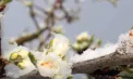 Un nou Cod GALBEN de înghețuri în toată Republica Moldova: Vom avea temperaturi de -3 grade noaptea - FOTO
