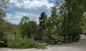 Primăria capitalei, despre incidentul de la Grădina Zoologică: Totul s-a întâmplat în momentul în care toți vizitatorii erau evacuați de pe teritoriu - FOTO