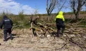 Avarii la cablurile electrice și drumuri parțial blocate și în raionul Leova, din cauza vântului puternic. Poliția și serviciile abilitate au intervenit - FOTO