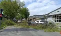 Furtuna a făcut ravagii în toată Republica Moldova: peste 120 de localități fără curent, drumuri blocate și pagube în mai multe raioane - VIDEO
