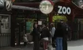 Vântul puternic a făcut victime în Chișinău: un bărbat a murit după ce un copac s-a prăbușit peste el, iar copilul de 6 ani rămâne în stare gravă la spital - VIDEO