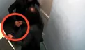 Îi aducea droguri în timpul întrevederii la penitenciar: Un avocat și un deținut, condamnați la 8 și 12 ani de închisoare - VIDEO