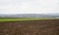 Valul de frig a lovit culturile din mai multe regiuni ale țării, iar temperaturile negative nocturne pun în pericol recolta. Fermierii încearcă să-și salveze livezile cum pot - VIDEO