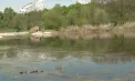 Val de nemulțumiri pe rețelele sociale. Lacul din pădurea din sectorul Botanica, plin de vegetație și mizerie - VIDEO