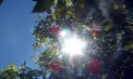 Cer senin și maxime de 25 de grade în sudul Republicii Moldova: ce temperaturi se anunță în Chișinău și în alte regiuni ale țării