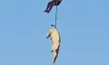 Misiune șocantă în Africa de Sud: un crocodil, eutanasiat și scos cu elicopterul din râu pentru a recupera rămășițele unei persoane dispărute - VIDEO