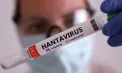 OMS monitorizează focarul de hantavirus de pe un vas de croazieră spre Tenerife: 5 cazuri confirmate și avertisment privind posibile noi îmbolnăviri - VIDEO