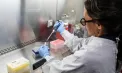 Țara unde numărul cazurilor letale de hantavirus este în creștere. Ce spun experții. „E ceva cu totul diferit aici”