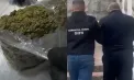 Doi șoferi de autocar, reținuți la postul vamal Leușeni: ascundeau marijuana în bagajele pasagerilor - FOTO/VIDEO