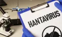Spania anunță un nou caz de hantavirus la un pasager de pe o navă de croazieră. Numărul total al cazurilor a ajuns la 11