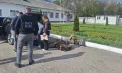 Schema de migrație ilegală a cetățenilor ucraineni în Republica Moldova continuă: al 18-lea membru, reținut la Briceni – VIDEO