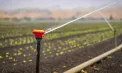 Vestă bună pentru fermierii din Republica Moldova: vor avea acces mai bun la apă de irigare, iar sectorul agricol va fi mai bine pregătit pentru perioadele de secetă 