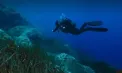 Cinci turiști italieni au murit în Maldive în timp ce făceau scufundări. Ce le-ar fi provocat o moarte subită - VIDEO