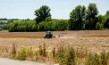 Fermierii ies din nou în stradă: agricultorii amenință cu proteste după scumpirea carburanților și fertilizanților și cer ajutor urgent de la stat. Reacția ministerului Agriculturii